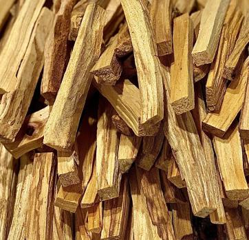 100g Palo Santo Sticks